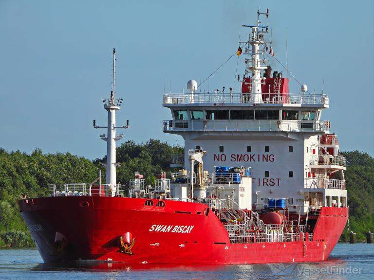 Swan Biscay