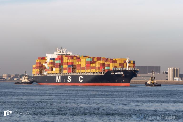 MSC Alicante VI