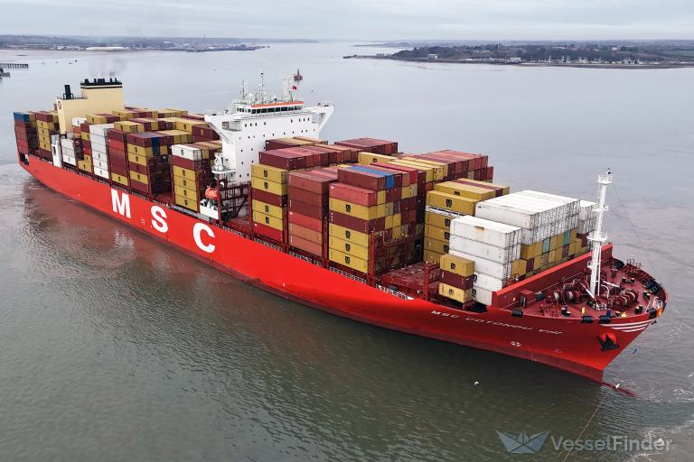 MSC Cotonou VIII