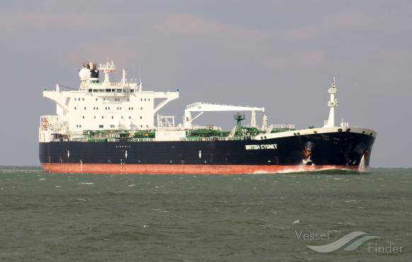 ursus maritimus