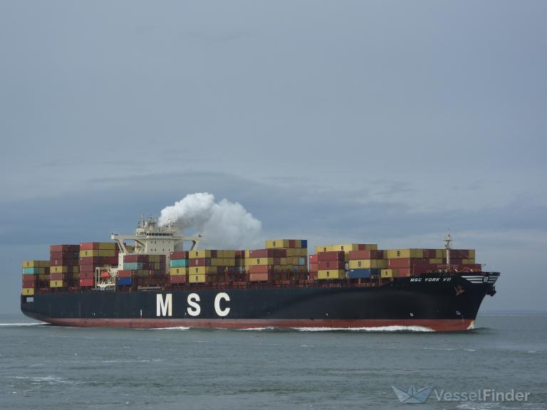 MSC York VII