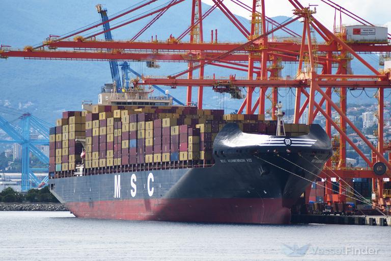 MSC Agamemnon VIII